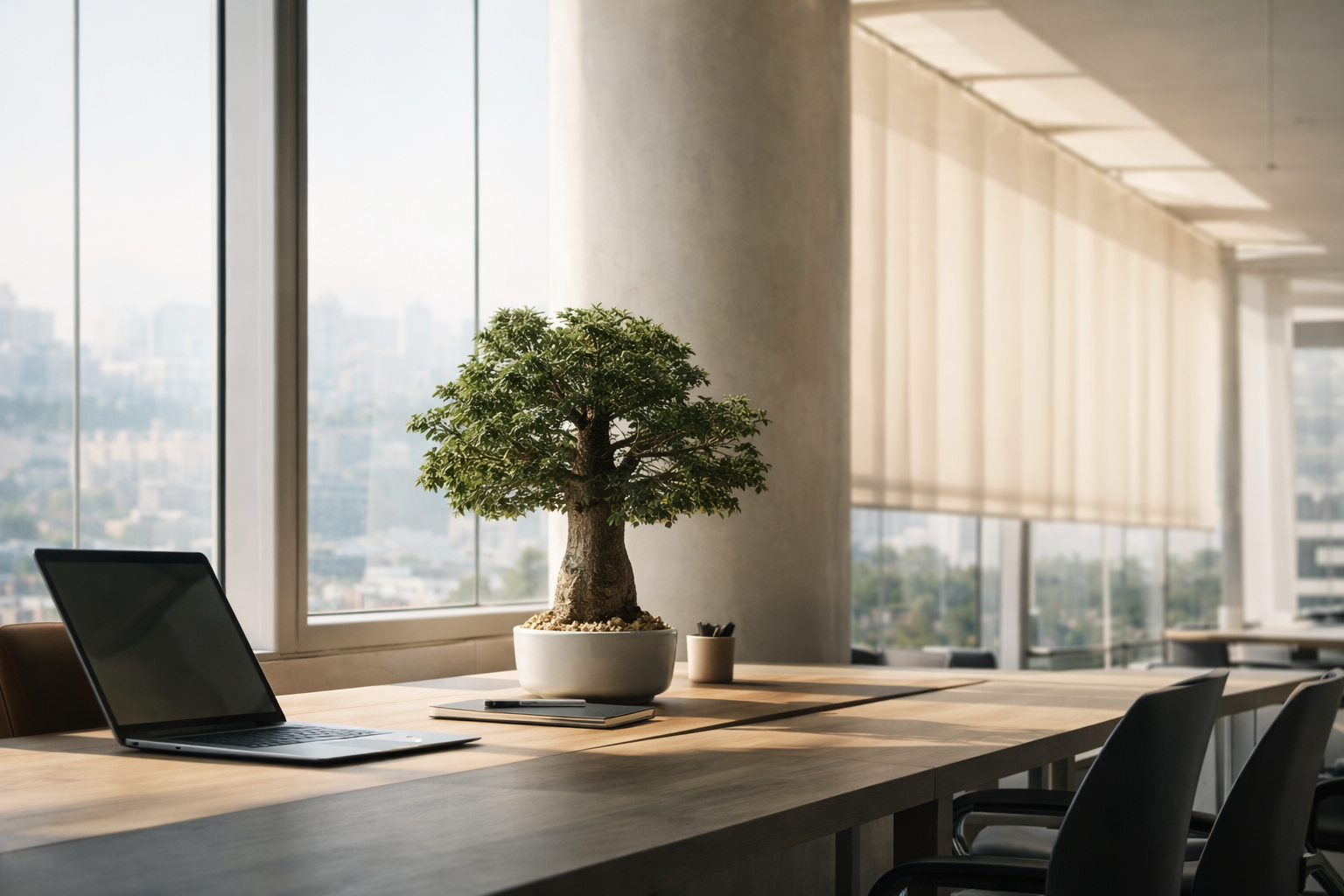 A sculptural baobab tree in a contemporary working environment